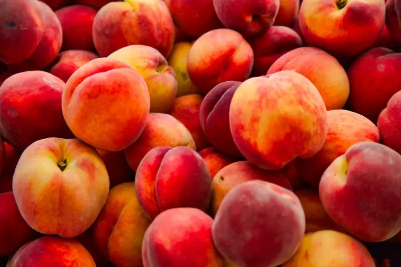 Urgent Food Safety Alert: Moonlight White and Yellow Peaches Recalled Over Listeria Fears
