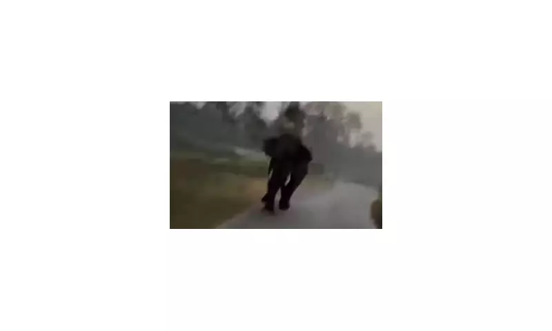 Wild Elephant Charges Safari Jeep in Karnataka Jungle Getaway