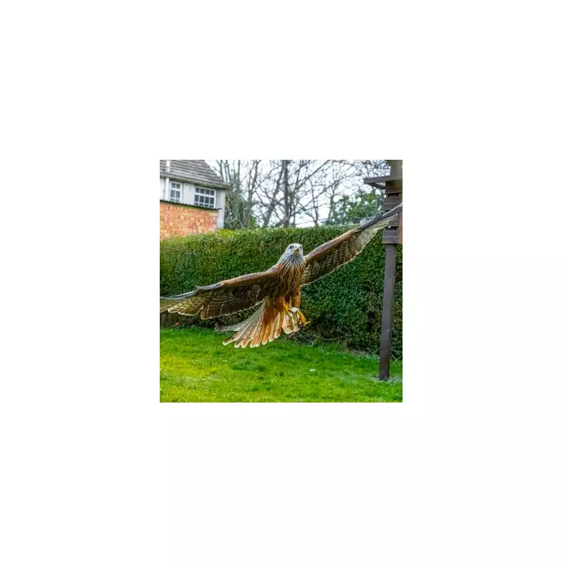 Wildlife Photographer's Bush Disguise Captures Stunning Red Kite Images