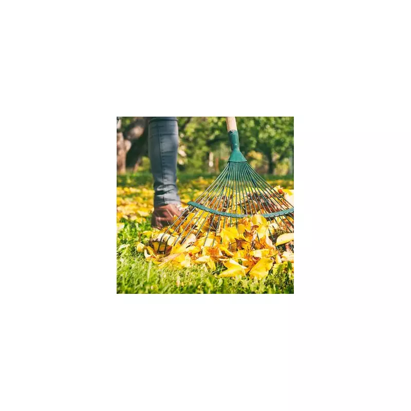 Winter Leaf Clearance Guide: Protect Your Lawn and Wildlife