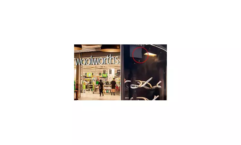 Woolworths Shoppers Stunned by Mysterious Sound Coming From Supermarket Freezers