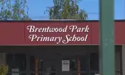 11-Year-Old Boy Avoids Charges After Alleged School Stabbing in Melbourne