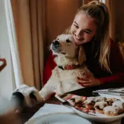 12 Toxic Christmas Foods for Dogs: Blue Cross Warning
