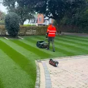 3 Essential Autumn Lawn Care Tips from Britain's Best Lawn Expert