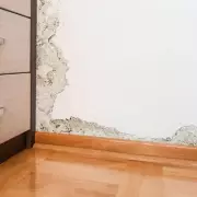 5-Minute Mould Fix: Expert's 75% Moisture Removal Tip