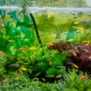 5 Simple Ways to Boost Your Slow Wi-Fi, Including Fish Tank Fix