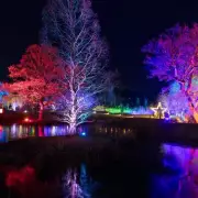 5 Stunning RHS Gardens to Illuminate UK Festive Season with Light Trails