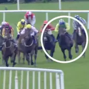 66-1 Shot Young Rebel Lands Huge Gamble With Astonishing Fairyhouse Win