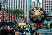 75-Foot Rockefeller Christmas Tree Arrives, Kicking Off NYC Holidays