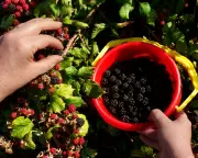 9 Eco-Friendly Gifts That Make a Real Difference This Christmas