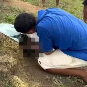 Abandoned Newborn Found in Brazilian Field by Shocked Farmers