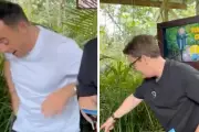 Ant McPartlin Screams as Spider Halts I'm a Celeb Livestream