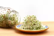 Australia Recalls Alfalfa Sprouts After 44 Sick in Salmonella Outbreak