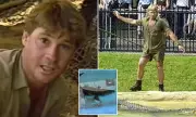 Australia Zoo's Crocodile Feeding Spectacle: Robert Irwin Continues His Father's Legacy with Heart-Pounding Action