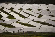 Australia's Solar Revolution: Households Earning Cash as Power Bills Turn Negative