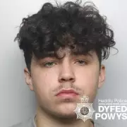 Axe-Wielding Teen's Home Invasion Terrorises Mother and Baby in Powys