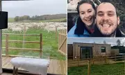 Baa-d Review: Luxury Lodge Owner Loses Coveted Five-Star Airbnb Rating After Bizarre 'Noisy Sheep' Complaint