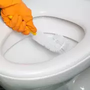 Banish Limescale Stains Forever: The 1p Toilet Cleaning Miracle You Need to Try