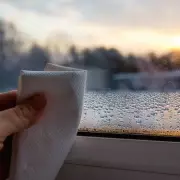 Beat Winter Condensation with a £2.18 Cat Litter Hack