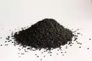 Black Cumin Lowers Cholesterol: 5g Daily Cuts Heart Disease Risk