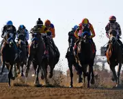 Breeders' Cup 2025 Crowns New Champions in Thrilling Santa Anita Finale