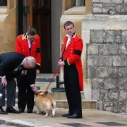 Buckingham Palace Issues Health Update on Queen Elizabeth II After COVID Diagnosis