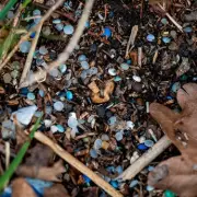 Camber Sands Plastic Pellet Spill: 'One of Worst Pollution Incidents'