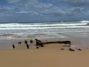 Century-Old Shipwreck Mystery Unearthed on Victorian Beach After Storm