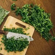 Chef's Secret: Keep Fresh Herbs Fresh For Months With This Simple Freezer Trick