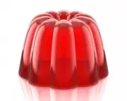 Children's Resilience Tested by Unsettling Rabbit Jelly Incident