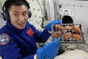 China's Tiangong Space Station Hosts First-Ever Orbital Barbecue in Cosmic Culinary Breakthrough