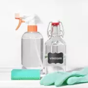 Cleaning Experts Reveal: 3 Household Areas Where White Vinegar Could Cause Serious Damage