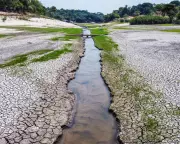 Climate Hope: Scientists Reveal We Can Still Avert Worst of Global Warming