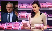 Cloned Meat Debate Divides RFK Jr's Health Movement as US Policy Exposed