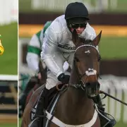 Constitution Hill vs The New Lion: Henderson Confident Ahead of Fighting Fifth