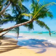 Dhigurah: The 250m-Wide Maldives Paradise with Whale Sharks