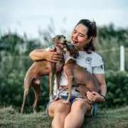 Dog's Strange Post-Walk Behaviour Has Sweet Meaning, Vet Reveals