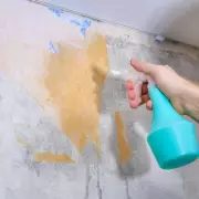 Effortless Wallpaper Removal: The £6 Spray Bottle Hack That Works