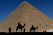 Egypt's Dark Tourism Secret: Animal Abuse at Giza Pyramids Exposed