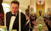 Elon Musk Returns to White House Amid Epstein Files Controversy