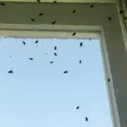 Exeter resident's window note begs public to stop police welfare calls