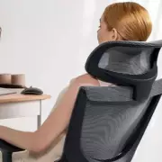 FlexiSpot's Early Black Friday: £100 Off Ergonomic Chairs & Standing Desks