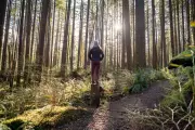 Forest Bathing: The Science-Backed Way to Boost UK Wellbeing