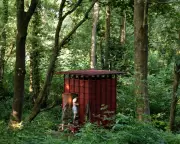 From Sauna Sceptic to Convert: A Sussex Forest Retreat Experience