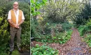 Gardener Forced to Vacate Secret Garden After 8 Years Over 'Invasive Bamboo'