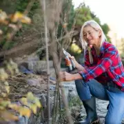 Gardening Expert's Free Hack to Protect Plants from Storm Damage