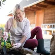 Gardening Expert's November Warning: 7 Essential Jobs for a Perfect Spring