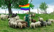 Gay Sheep Wool Debuts at NY Fashion Show in Groundbreaking LGBTQ+ Campaign