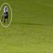 Golden Ace's Unbeaten Streak Shattered in Dramatic Wetherby Defeat