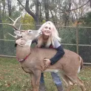 Grandmother Killed by Rescued Deer in Tragic Ohio Incident